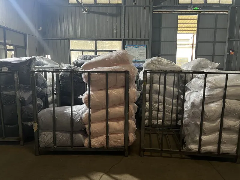 IMG4659001 IMG4659001